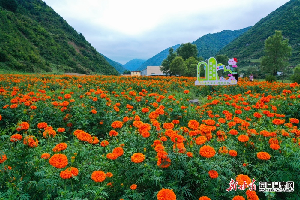 新春园游会 赶大集品美食赏非遗