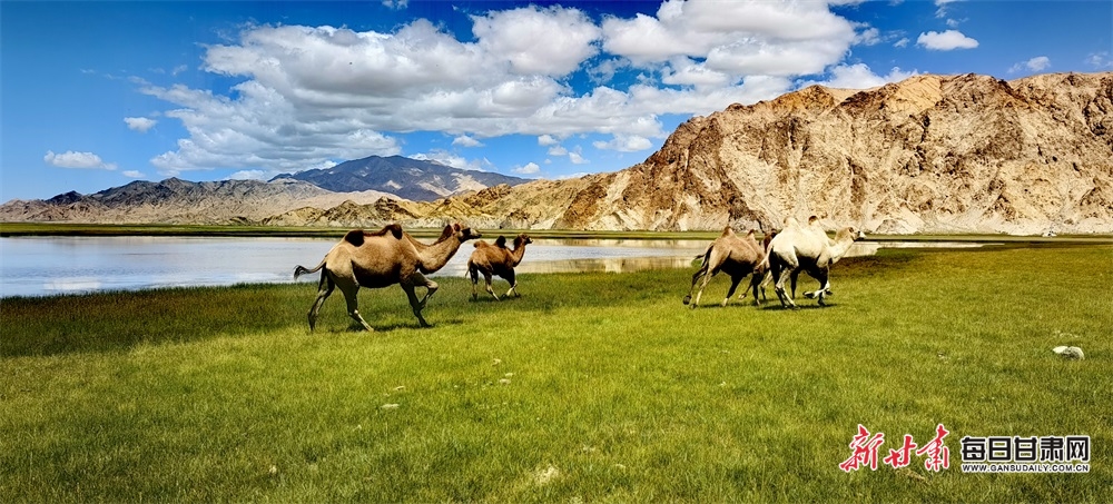 樱花树下的早餐 开启一天美好时光