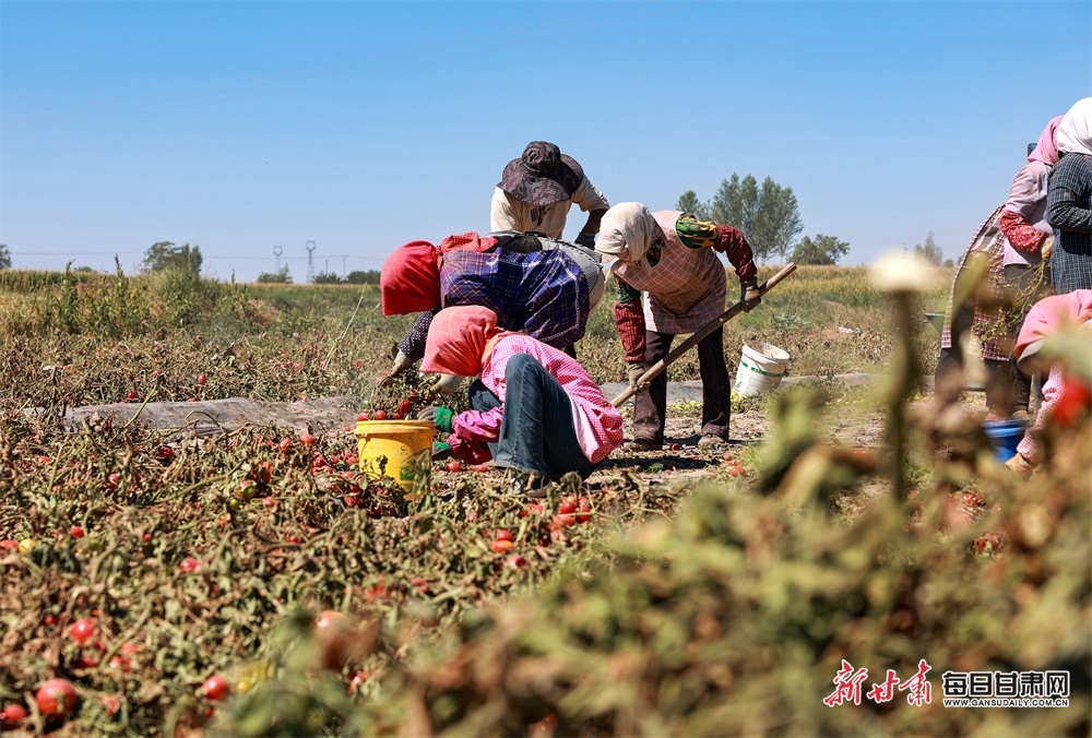 泉城牡丹初绽笑颜，静待春暖花开满园香