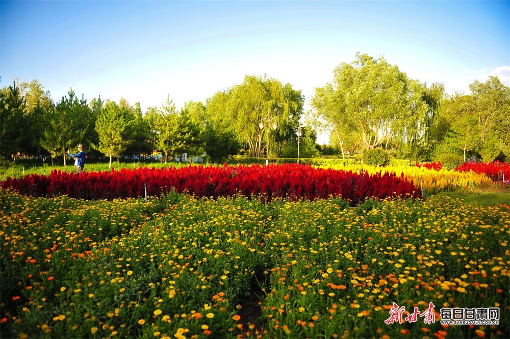 从农民工到“维修大师”，荆楚楷模朱矩兵：干就要干到最好