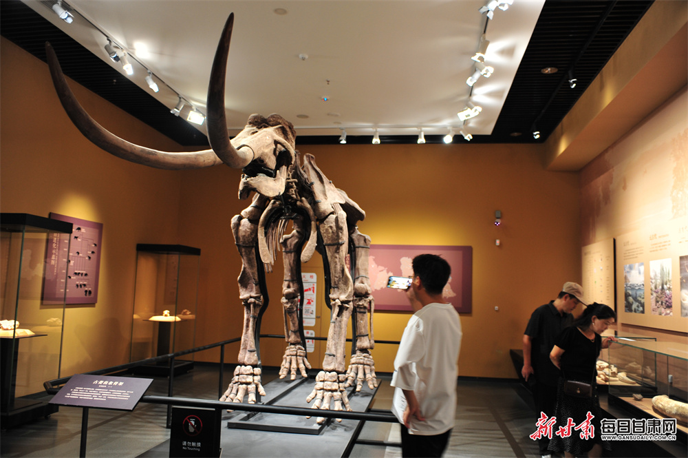 Glamorgan have 'a lot of potential' - new coach Dawson