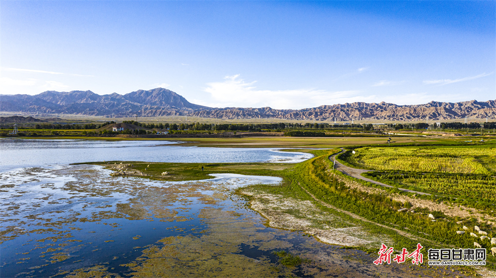 Inothewayurthinkin wins Cheltenham Gold Cup
