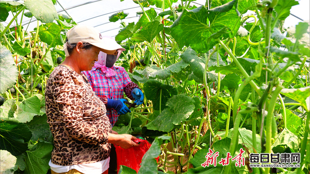 Lies and confrontation: LeBron's beef with a basketball pundit