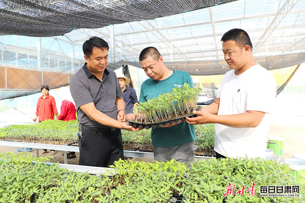 The air crash and the underdogs - a triumph for a lost generation