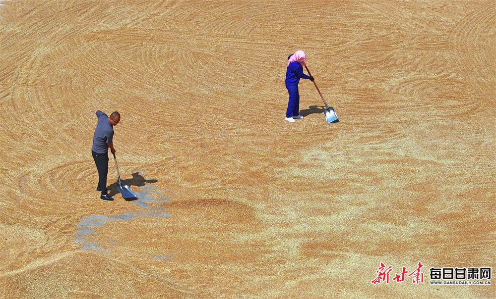 Lewis stars as nine-try leaders Hull KR rout Giants