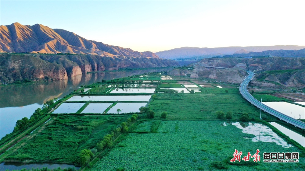 How the housing crisis is driving up council tax