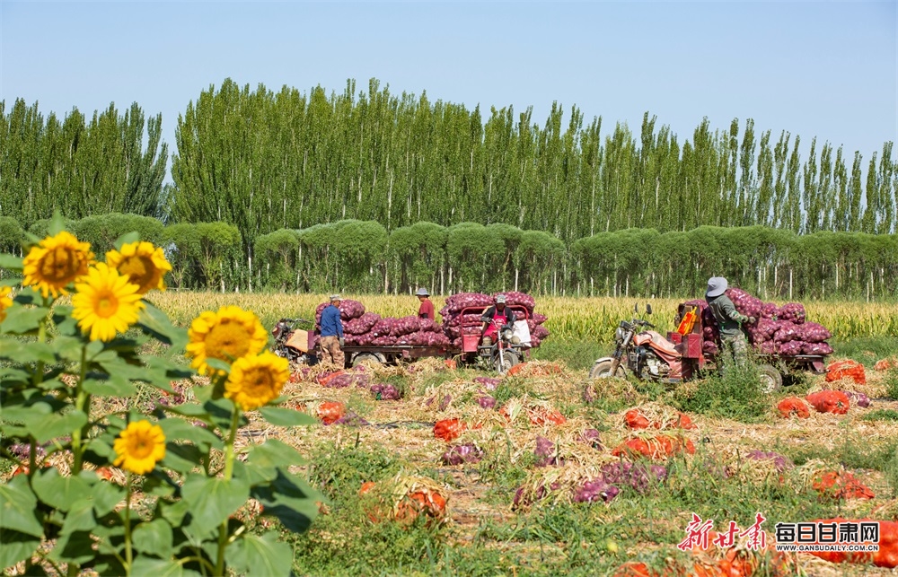 David Smith on why more people should be playing boccia