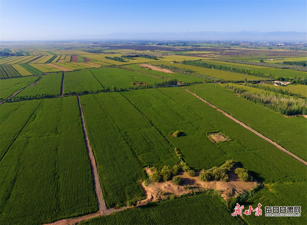 女子通一次马桶，被收近3180元！法院：赔偿3倍消费款
