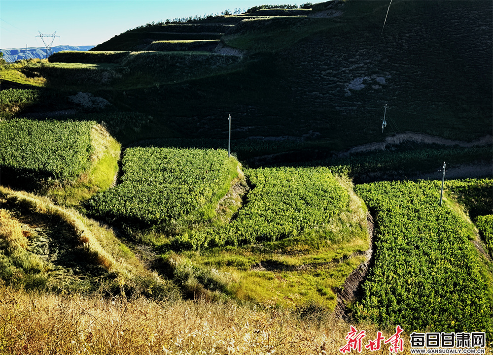 大众金标纯电SUV ID.与众大降价！直降4万，起售价跌破17万！