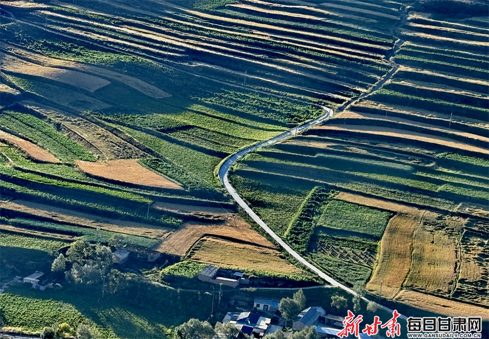 Trees planted as part of ￡3m city park revamp