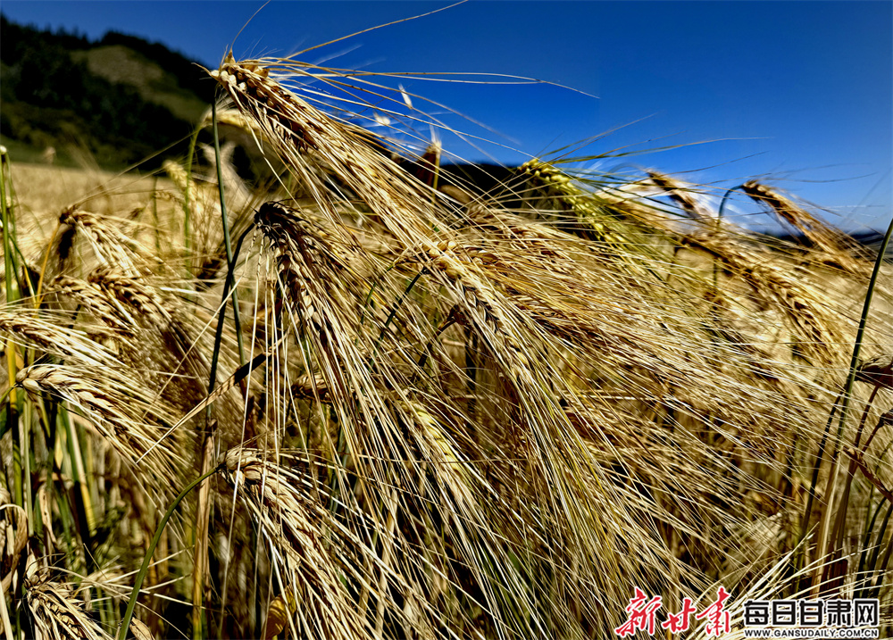 How will the latest Trump tariffs affect the UK?