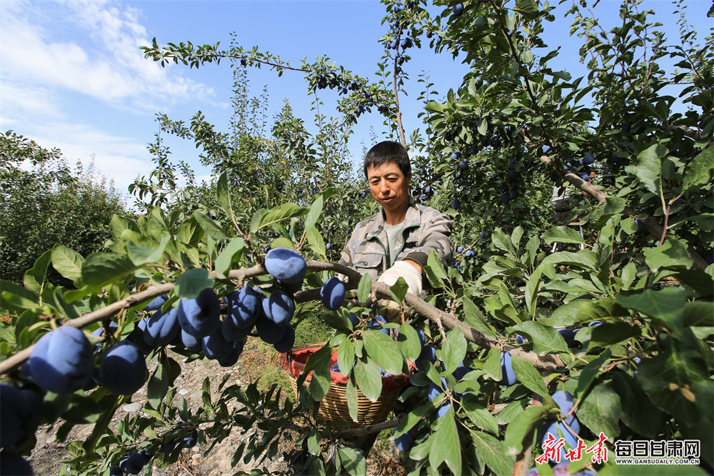 硕士研究生招生调剂系统开通，手把手教你如何操作