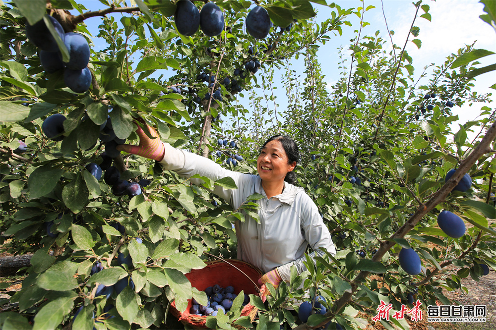 中国驻加拿大大使丛培武刊文缅怀伊莎白·柯鲁克女士