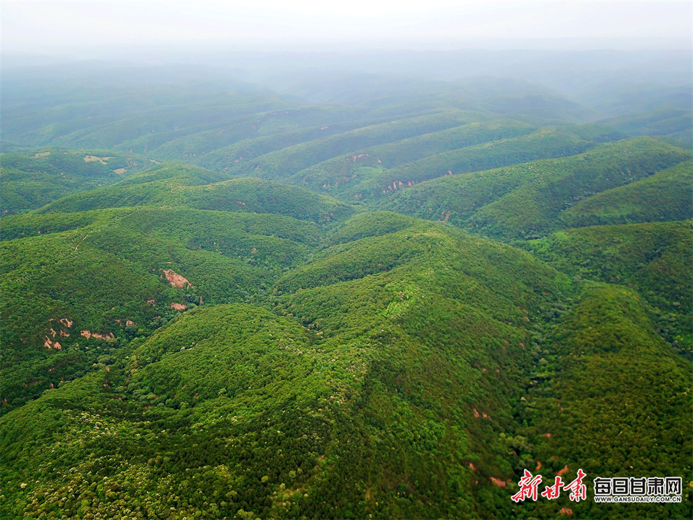 Romeo Coolio another Leopardstown winner for Ewing