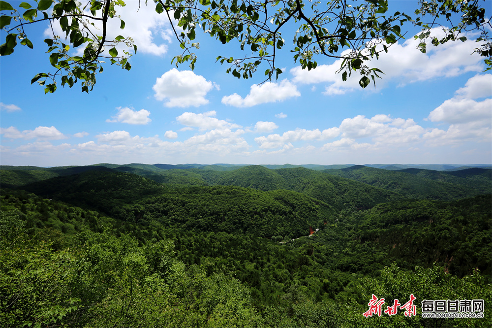 电影《王永华诗歌|石家河》解说文案
