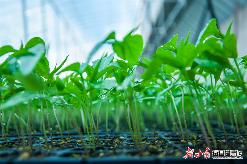 盐城二手房价格（盐城恒大名都二手房）