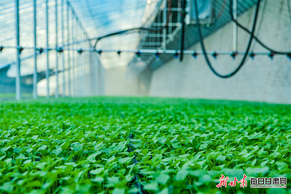 一顿小龙虾下肚，眼里竟长出“果胶”