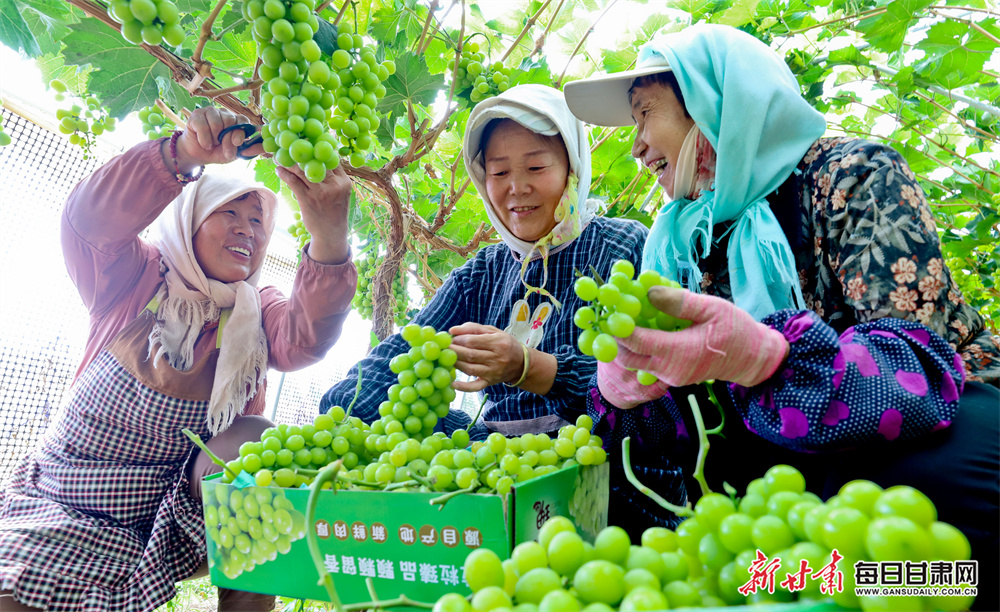 Trump beats Higgins to set up Wilson final