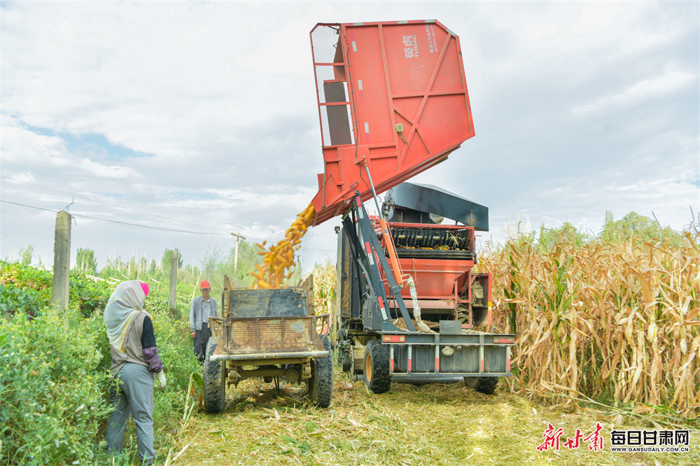 上海买100平房子多少钱（在上海买一套100平米的房子多少钱）