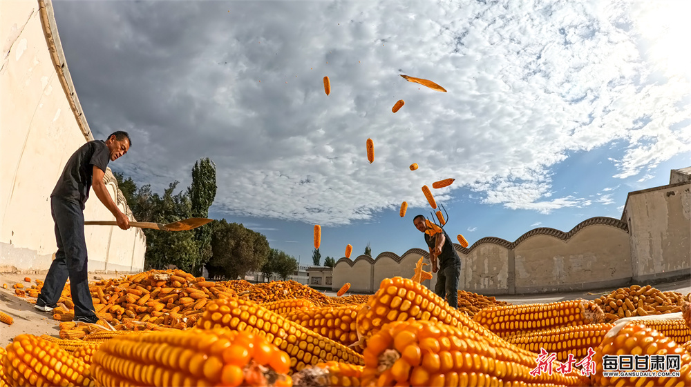 Muck-spreading regulations needed, review finds