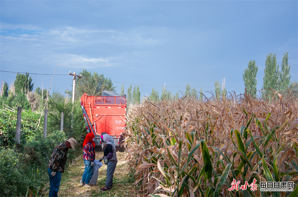 万科西山别墅（奢华宜居：探寻万科西山别墅的优雅魅力！）