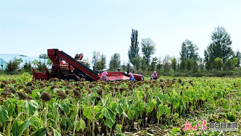 莱西房产网（莱西信息港二手房）