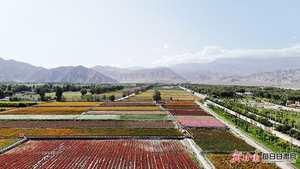 AI offers 'generational opportunity' for schools