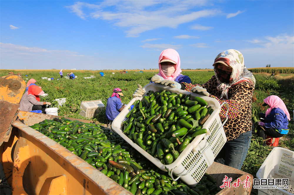 Celtic goalkeeper Schmeichel out for up to six weeks