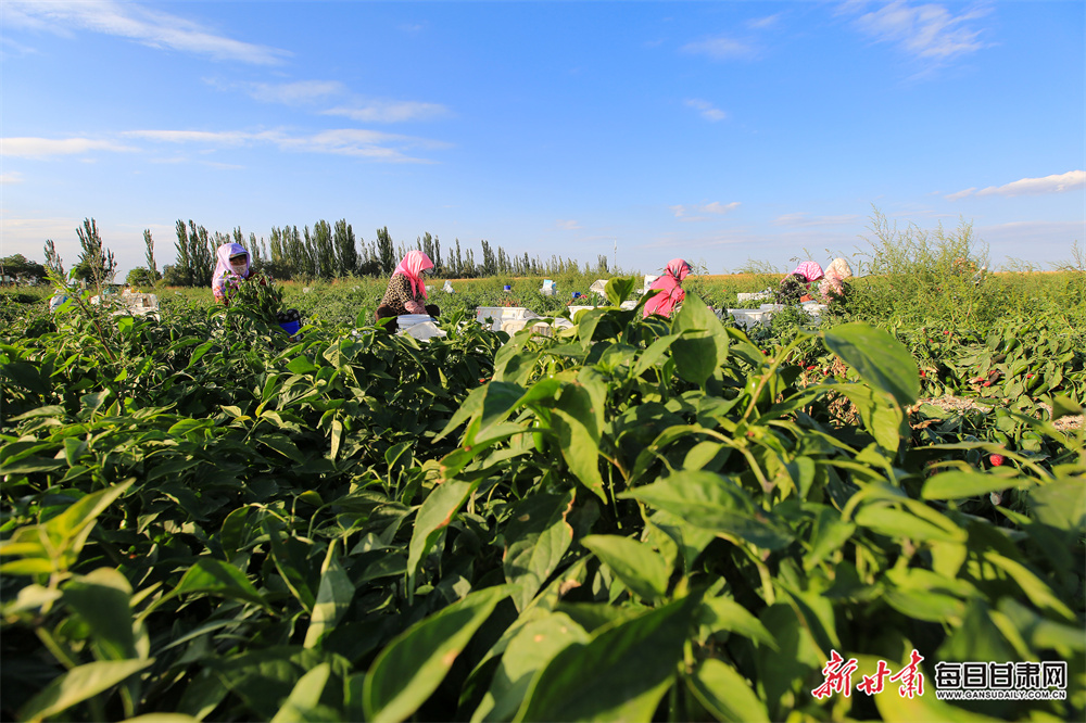 'You can change your mindset' - Scotland's Watson on year of recovery