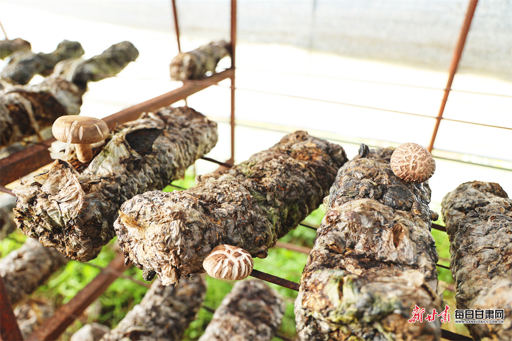 北京朝阳区别墅区排名（北京朝阳区别墅区排名前十名）