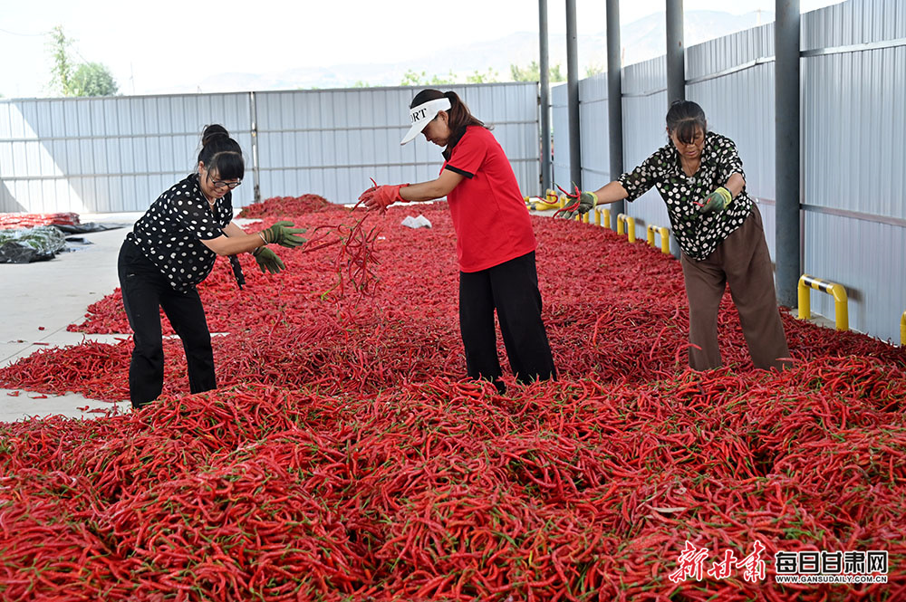 男子长期在外务工，妻子发生婚外情生下一子，司法所调解达成离婚协议
