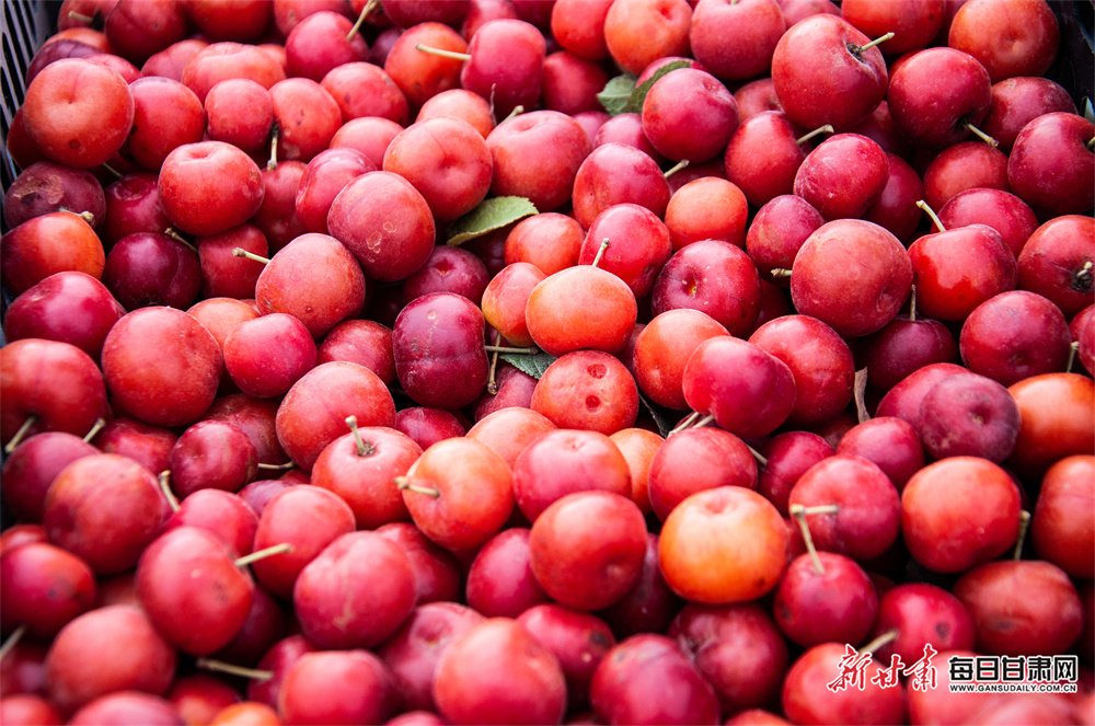 LA fires should be 'wake up' for sport -  experts