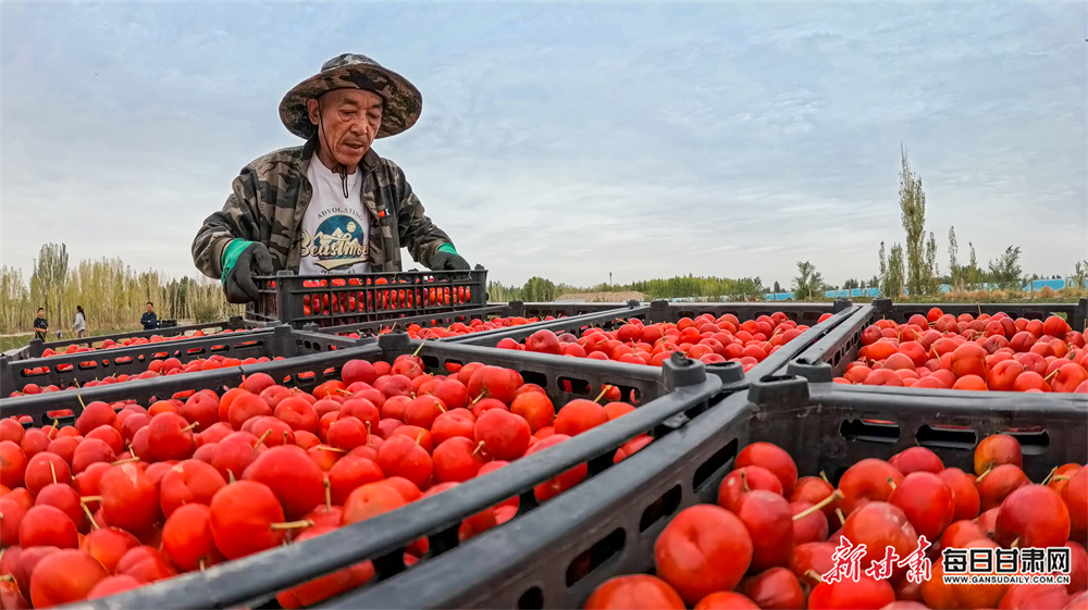 BBC Sport's British women pound-for-pound rankings