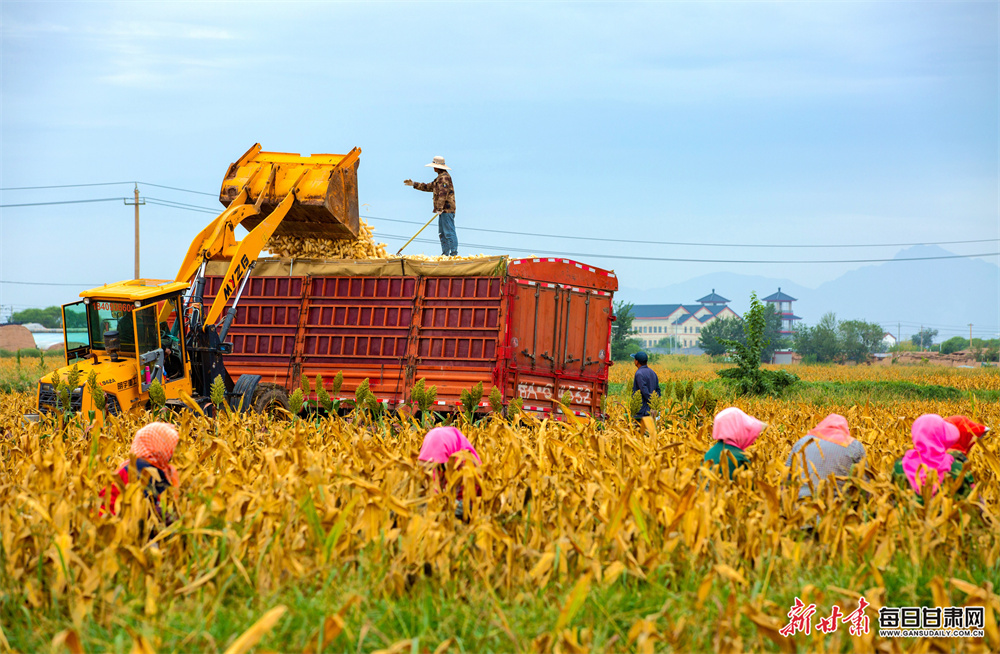 沈阳贝壳二手房产（沈阳贝壳找房房源二手房）