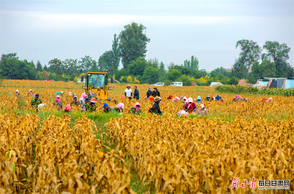 收藏资讯《北向出川通道镇广高速“进度条”刷新 白马渠江特大桥全桥贯通》解说文案