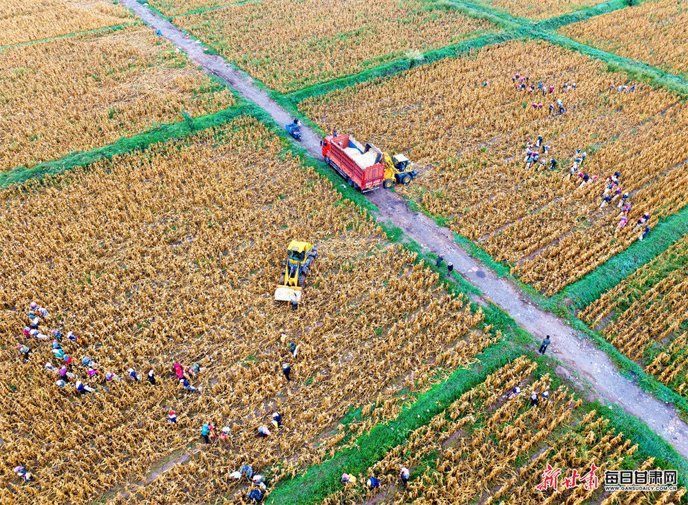 奔驰A级确认停产！平民豪车成历史