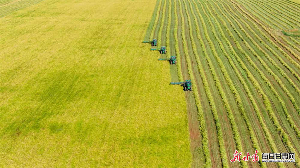 北京链家房产官网电话（北京链家各门店电话）