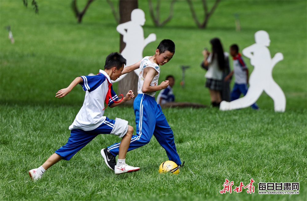 Ex-Australia batter Law appointed Nepal head coach