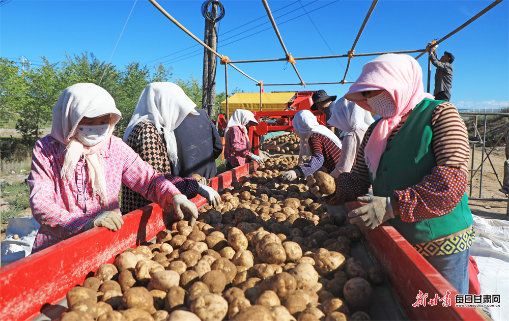 武汉欢乐谷“樱花列车”来啦，国潮文化节即将开幕