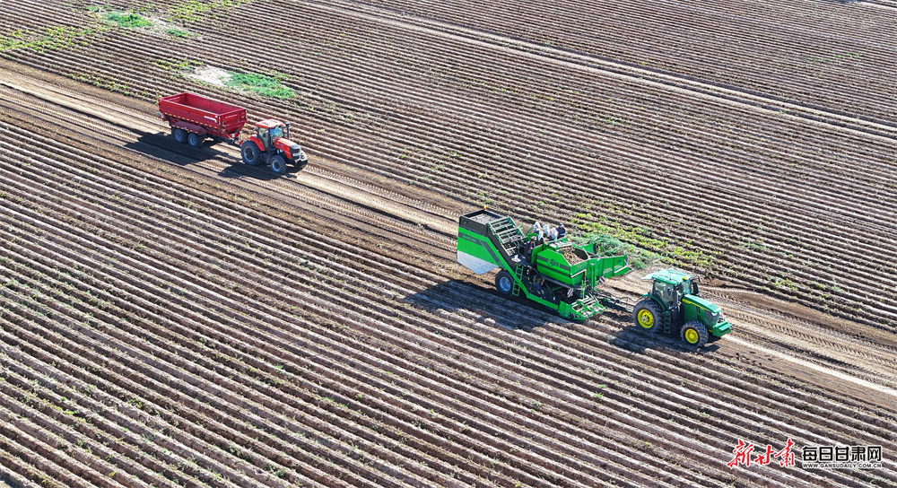 Sabalenka powers to Miami Open final win against Pegula