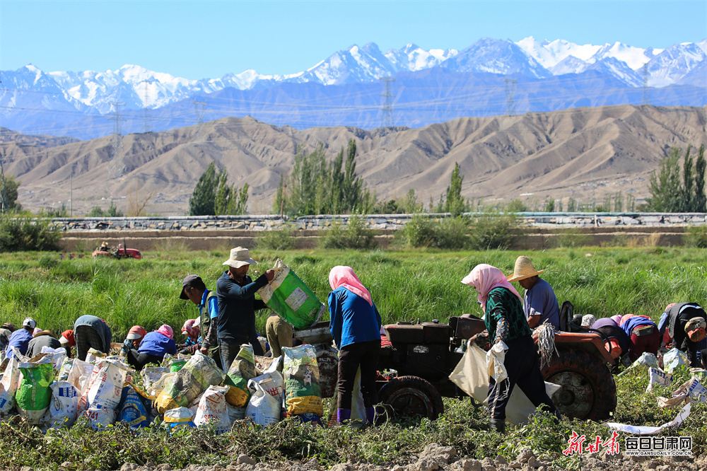 大连保利西山林语别墅（大连保利西山林语别墅二手房）