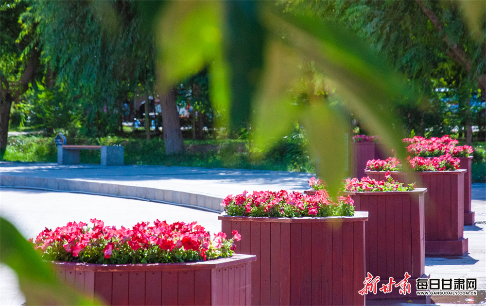 中越边境云南河口：乘动车跨境游外籍旅客量暴增