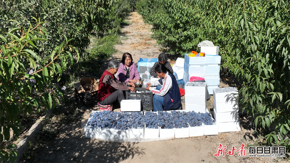 Crayfish industry boosts rural revitalization in Xuyi County, E China's Jiangsu