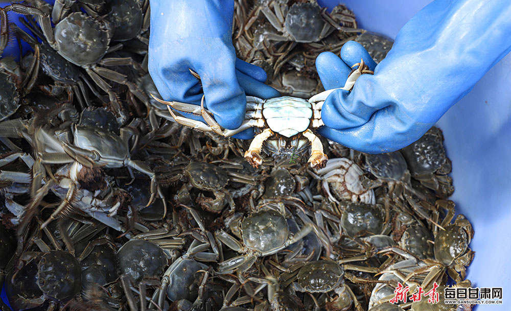 Virginia Giuffre grateful for 'love and support' after car crash