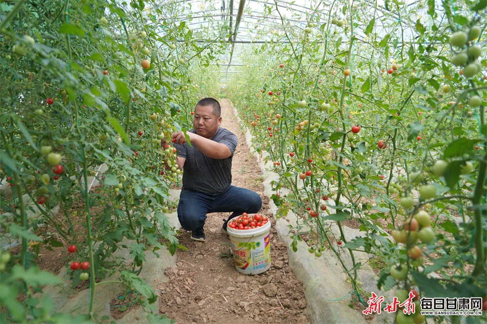 房东直租房（租房子58同城）