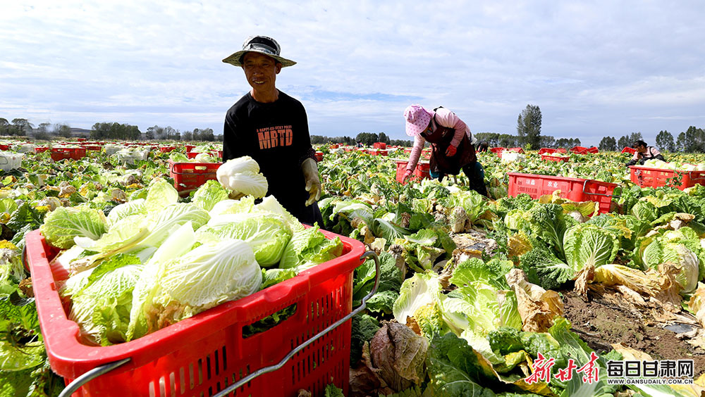 'No evidence leading back to me' - Mayer on Ryan paint attack