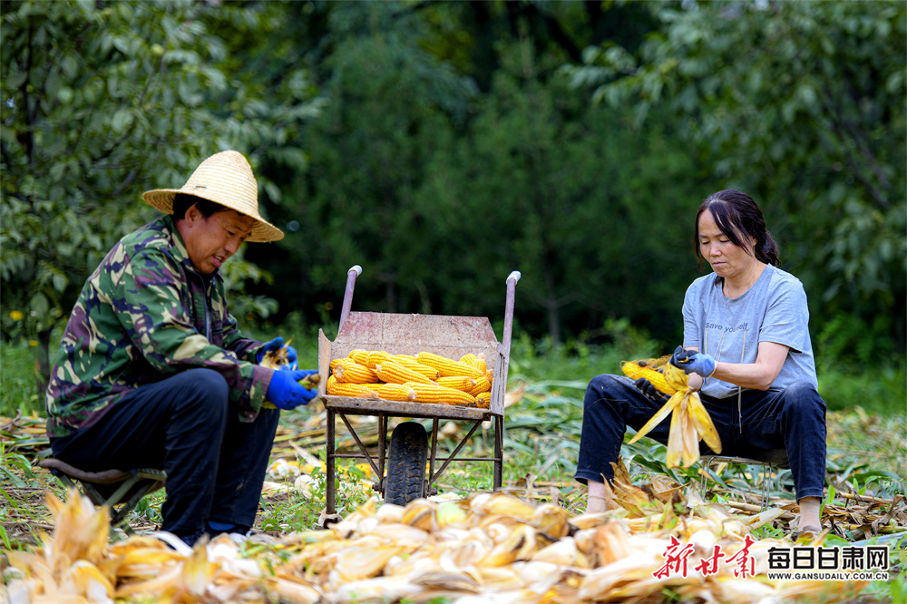 ​大京西文旅联盟助力京张文旅协同“一路繁花”