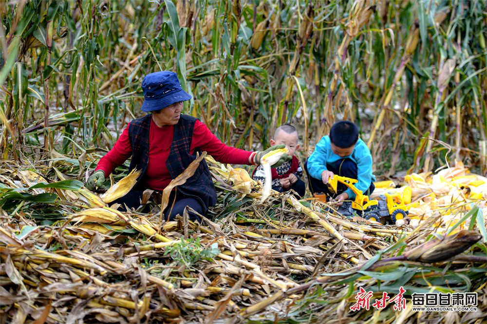 “有幸相樾 恰好合拍”，武汉市硚口区总工会倾心助力青年职工寻觅良缘