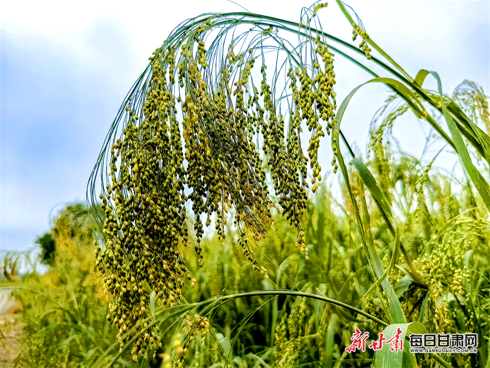 Trees felled in storm 'helping support nature'