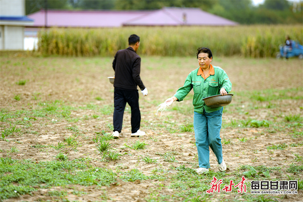 All you need to know before NI v Romania in Nations League